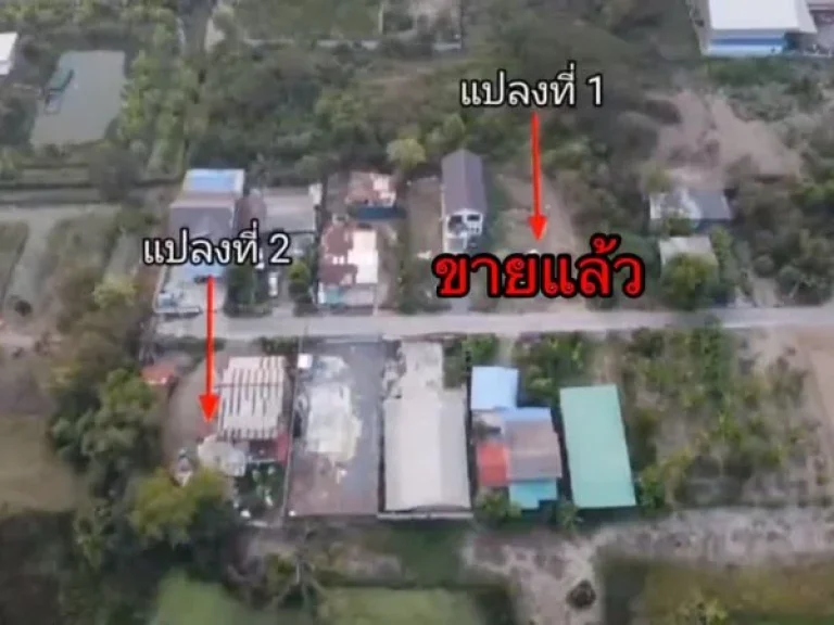 ขายที่ดิน แถมบ้าน มี2แปลง ซศรีทองคำฟิล์ม ตศาลาแดง อเมือง