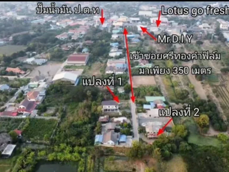 ขายที่ดิน แถมบ้าน มี2แปลง ซศรีทองคำฟิล์ม ตศาลาแดง อเมือง