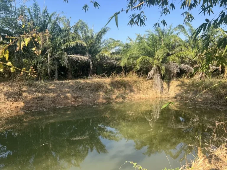 ที่ดินติดลำห้วย 6 ไร่เศษ ติดลำห้วย วิวสวย หนฮงหญ้าปล้อง