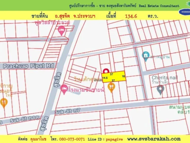 ขาย ที่ดิน 1346 ตรว ในตัวเมืองประจวบ อเมือง จประจวบ