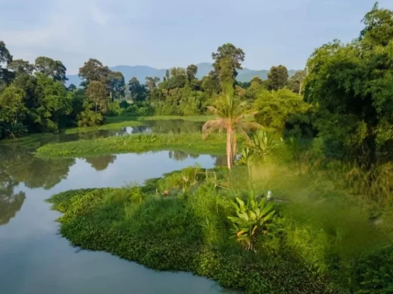 ที่ดินติดคลอง 7 ไร่ อบ้านนา นครนายก วิวสวย