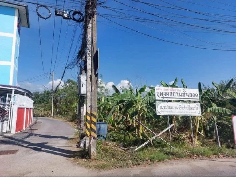 ขายที่ดินศรีราชา ใกล้ถนนสุขุมวิท 3-2-145 ไร่