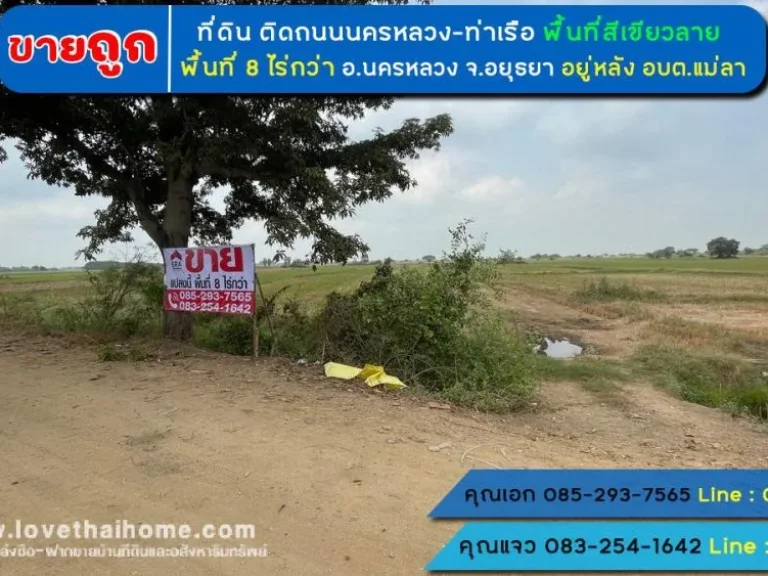 ขายที่ดิน ติดถนนนครหลวง-ท่าเรือ พื้นที่ 8 ไร่กว่า ตแม่ลา