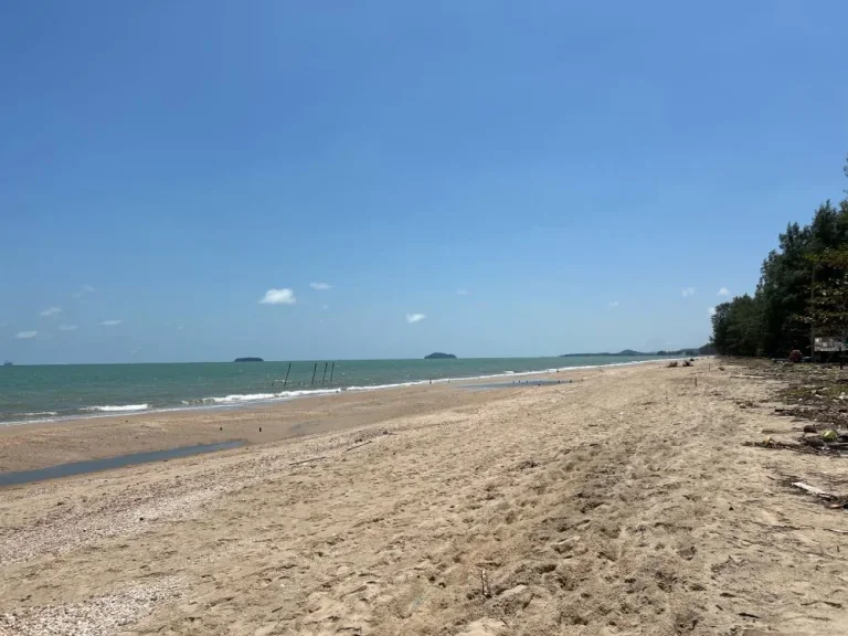 ขายด่วน ที่ดินทำเลทองติดถนน 2 ด้าน ใกล้หาดบางหอย ขนาด 22 ไร่