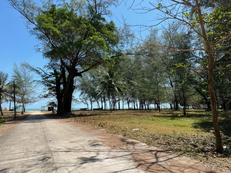 ขายด่วน ที่ดินทำเลทองติดถนน 2 ด้าน ใกล้หาดบางหอย ขนาด 22 ไร่