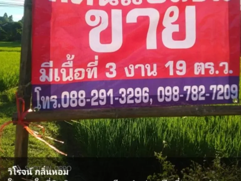 ขายที่ดิน ติดถนน ทลชนบท1148 ใกล้พื้นที่ชุมชน วิวทิวทัศน์ดี