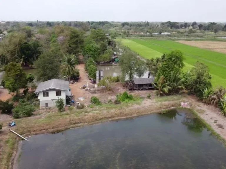 ขายที่ดิน ซอยสุวินทวงศ์ 96 ถนนสุวินทวงศ์ หนองจอก