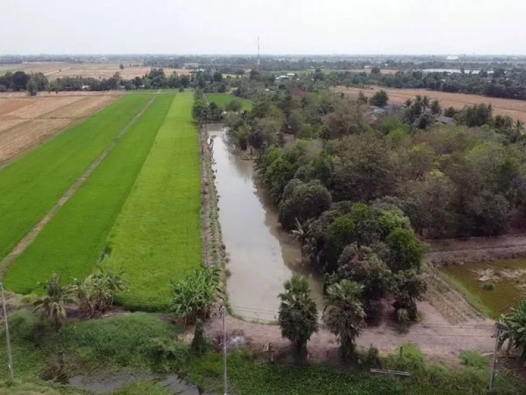 ขายที่ดิน ซอยสุวินทวงศ์ 96 ถนนสุวินทวงศ์ หนองจอก