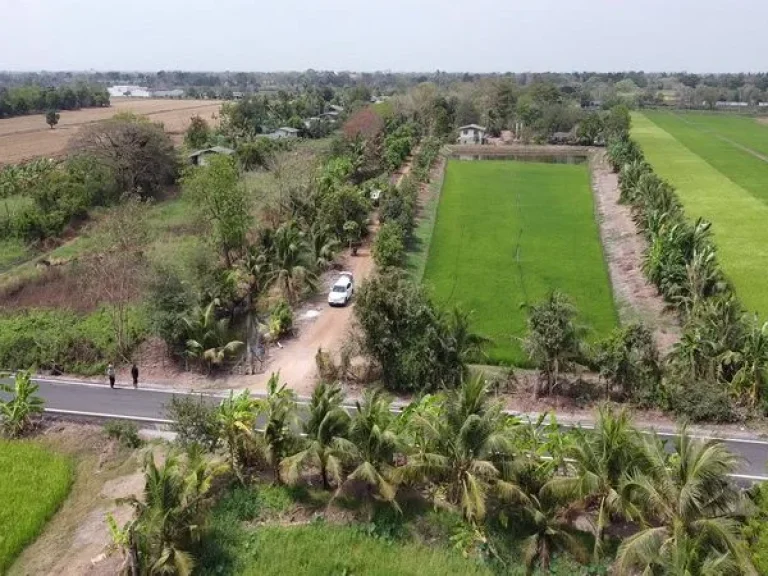 ขายที่ดิน ซอยสุวินทวงศ์ 96 ถนนสุวินทวงศ์ หนองจอก