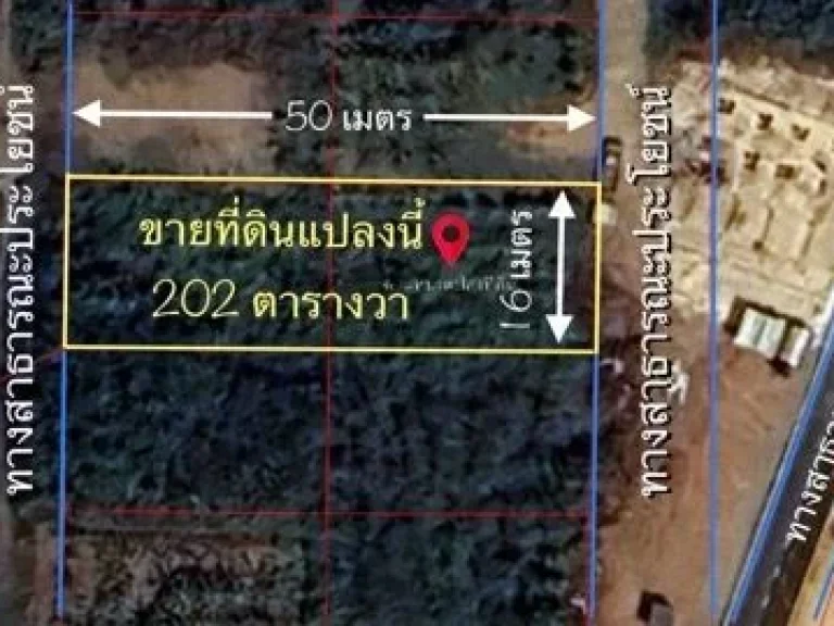 ขายที่ดินหลังตลาด 700 ปี ที่ดิน 202 ตรวชุมชนชายเขารุ่งเรือง