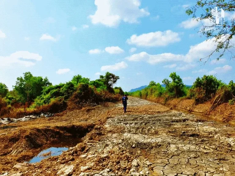 ขายที่ดินติดทะเล ใกล้ถนนลพบุรีราเมศวร์ ติดทะเลสาปสงขลา