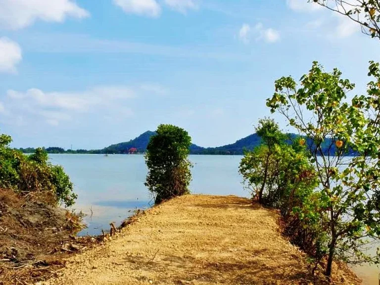 ขายที่ดินติดทะเล ใกล้ถนนลพบุรีราเมศวร์ ติดทะเลสาปสงขลา