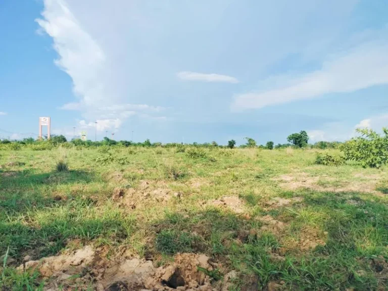 ขายที่ดิน 58 ไร่ ติดถนนมิตรภาพกว้าง 164 เมตร โนนสูง