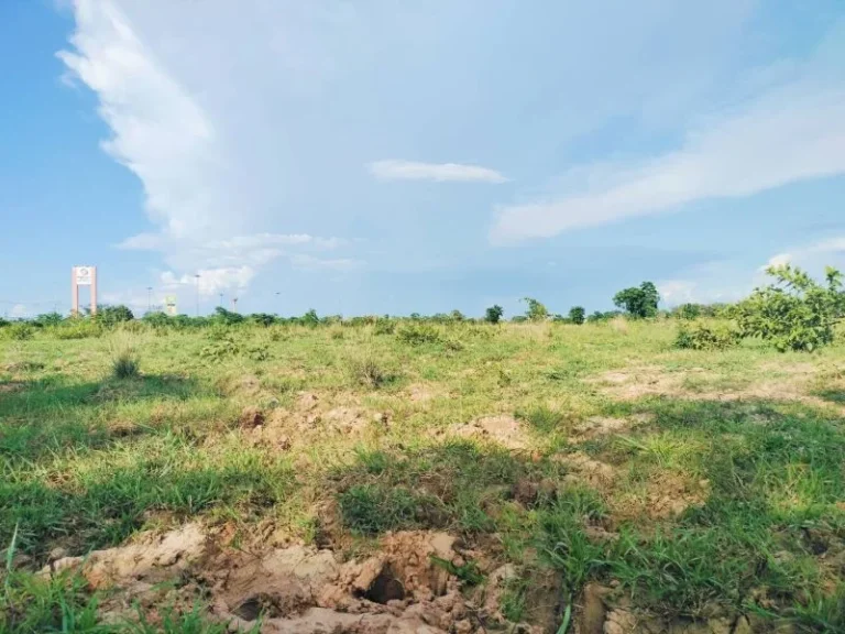 ขายที่ดิน 58 ไร่ ติดถนนมิตรภาพกว้าง 164 เมตร โนนสูง