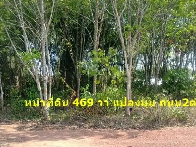 ให้เช่า Platinum Fashion Mall Condo 45 ตรม พร้อมเฟอร์