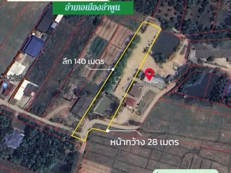 ด่วนขายที่ดินยก 2 แปลง จังหวัดลำพูน อำเภอเมืองลำพูน ID line 