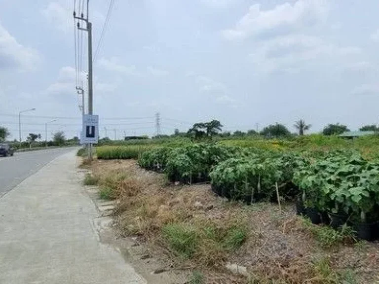 ขายที่ดินถนนเมนบางม่วง-บางคูลัด ซอยวัดพระเงิน 5 ไร่กว่า