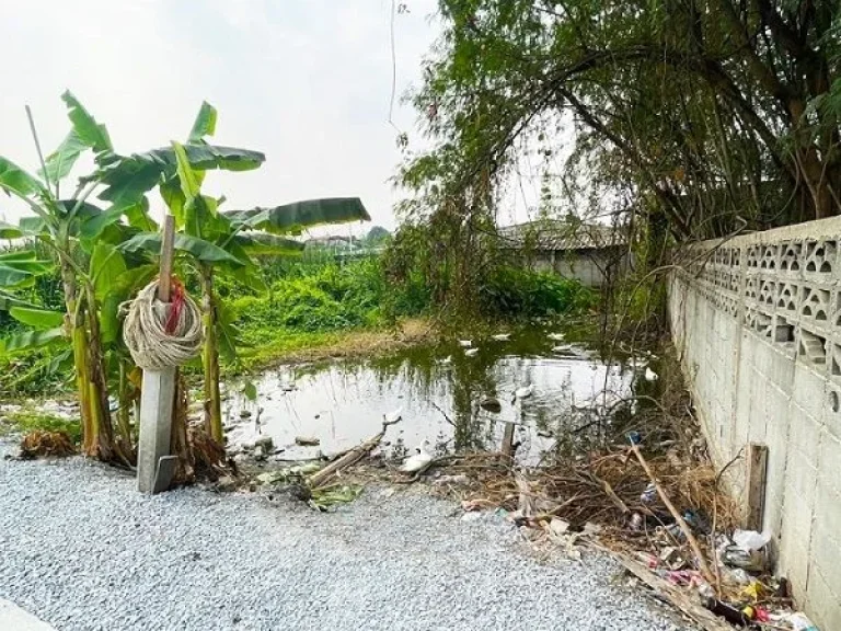 ขายที่ดินเปล่า99ตรว ซสุขี118 ตบางพูน ทำเลดี เดินทางสะดวก