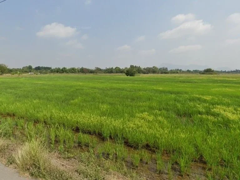 ขายที่ดิน เนื้อที่ 3ไร่ ติดถนนลาดยาง ตำบล หนองบัว บ้านหมอ