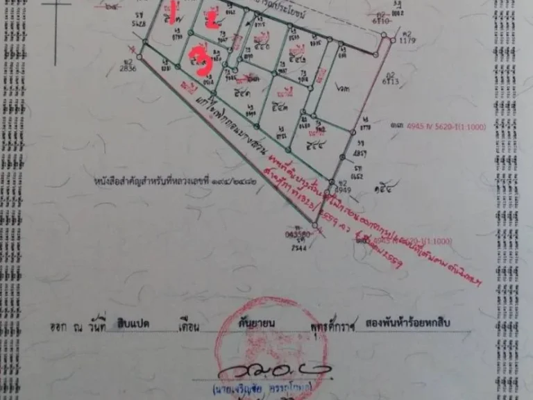 ขายที่ดินด่วน เจ้าของขายเองราคาถูกสวยๆ ครุฑแดง