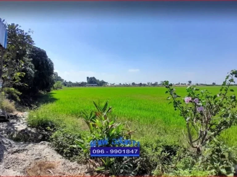 ขายที่ดินแปลงสวย ถวงแหวนสุพรรณบุรี ด่วน