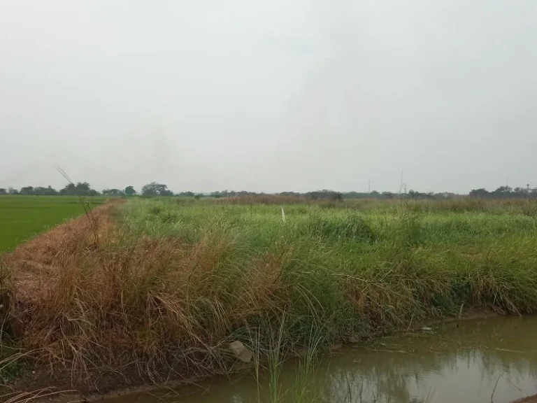 ขายที่ดินโฉนด เนื้อที่ 30 ไร่ ติดถนนคอนกรีต ใกล้ถนนสุวรรณศร