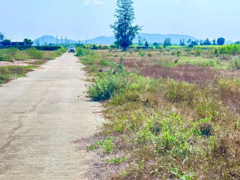 ขายที่ดินเริ่มต้น 1ไร่ วิวเขาลูกใหญ่ ติดถนนคอนกรีต