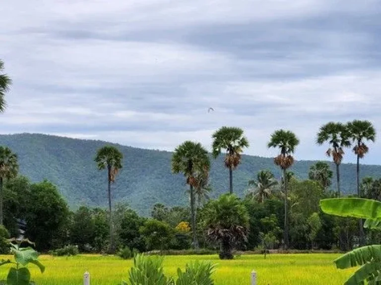 ขายบ้านสวน บ้านเดี่ยว พร้อมอยู่ บรรยากาศ วิวภูเขา