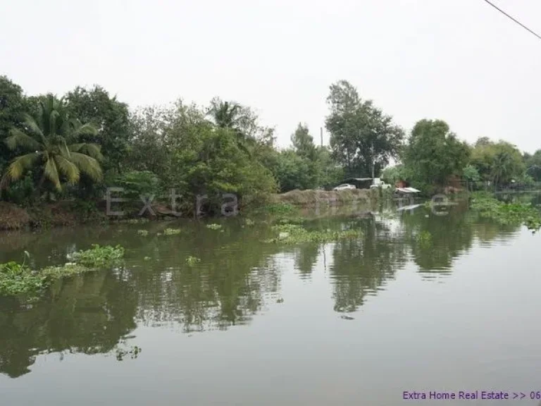 ขายที่ดิน ติดริมน้ำธรรมชาติ 376 ตรวศาลาธรรมสพน์ อากาศดีมาก