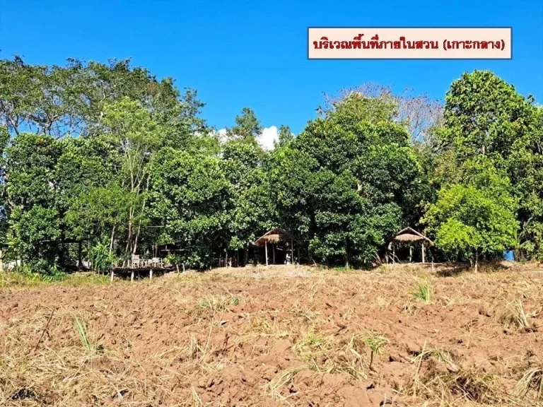 ขายด่วน ที่ดินเปล่า ติดถนนทางหลวงชนบท สายบ้านท่าสะแล-บ้านหนอ