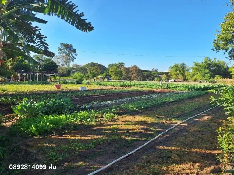 ที่ดินแปลงสวย ทำเลดี ห่าง รพวารินชำราบ 400 เมตร เอกสารโฉนด