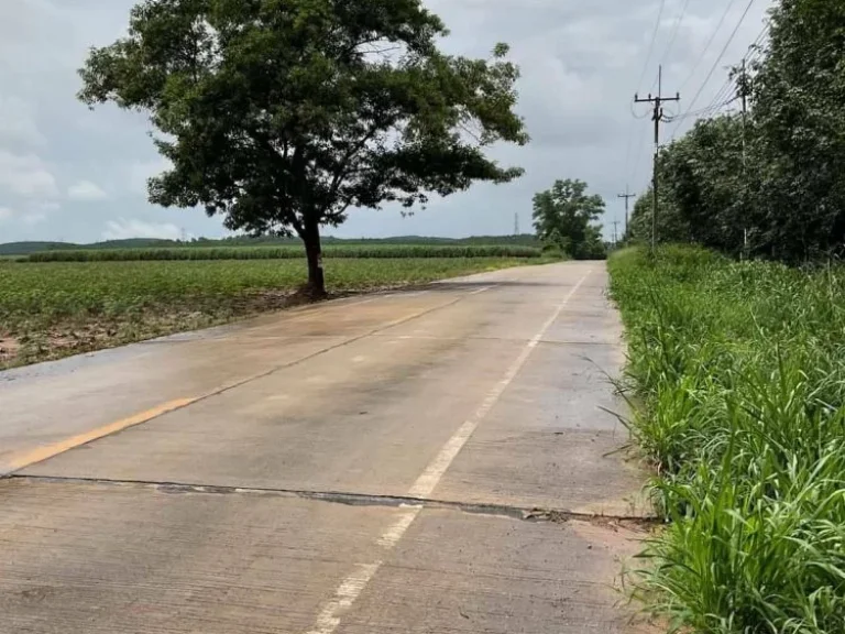 ขายที่ดินแปลงใหญ่1500ไร่ ที่ดินอยู่ ตหนองใหญ่