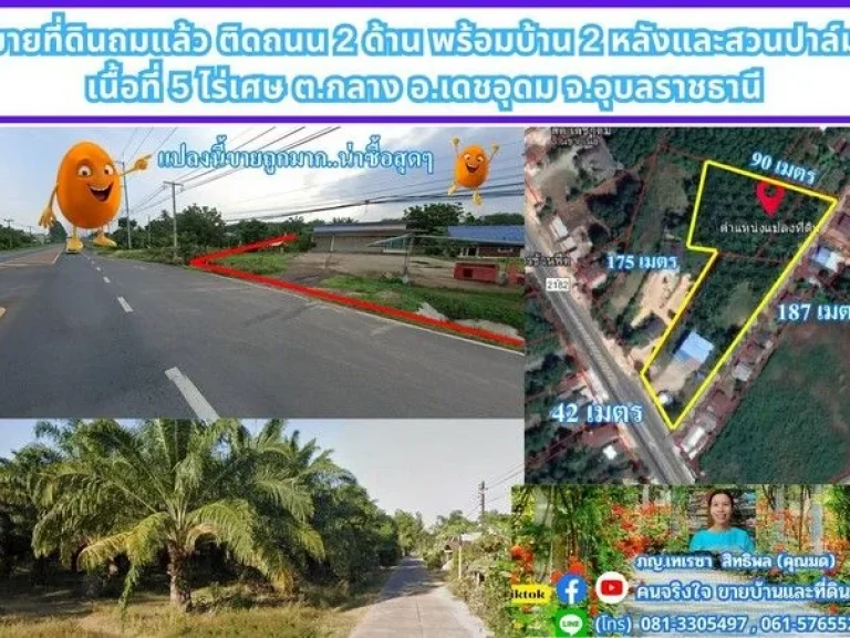 ขายที่ดินถมแล้ว ติดถนน 2 ด้าน พร้อมบ้าน 2 หลังและสวนปาล์ม