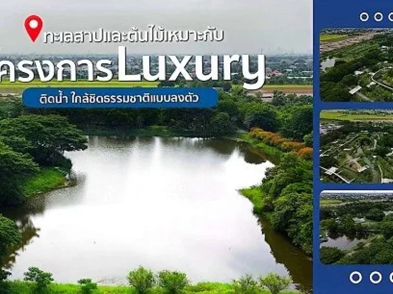 ขายที่ดินแปลงใหญ่ ย่านบางบัวทอง ทำเลทอง ใกล้สิ่งอำนวยความสะด