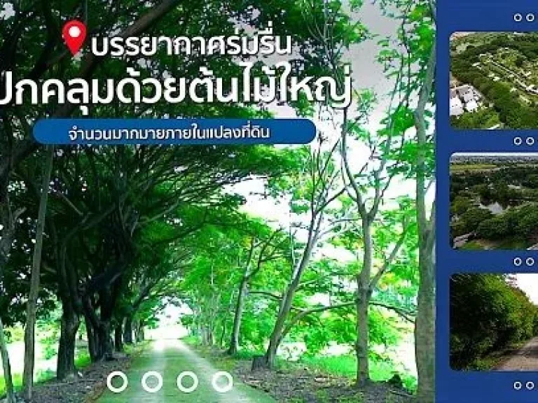 ขายที่ดินแปลงใหญ่ ย่านบางบัวทอง ทำเลทอง ใกล้สิ่งอำนวยความสะด