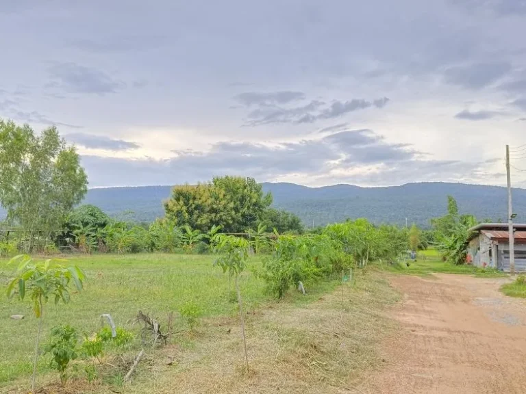 ขายที่ดินวิวภูเขา พร้อมสวนผลไม้ อากาศดีวิวธรรมชาติ