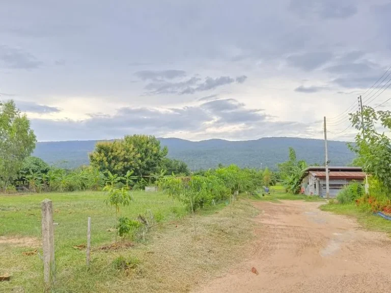 ขายที่ดินวิวภูเขา พร้อมสวนผลไม้ อากาศดีวิวธรรมชาติ