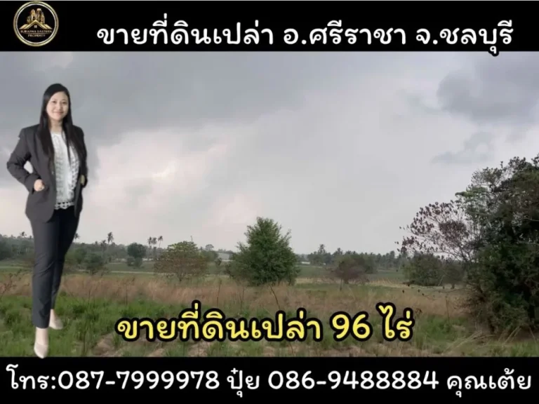 ขายที่ดินสีเหลืองพื้นที่ 96 ไร่ ผังสีเหลือง