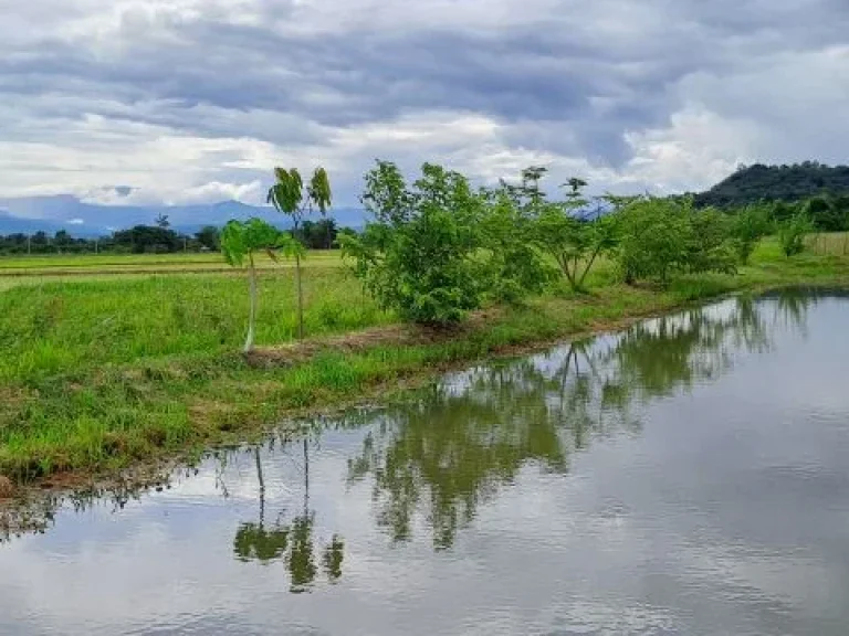 ขายสวนผสมบ่อปลา ไฟฟ้าน้ำประปาพร้อม วิวสวยเหมาะทำบ้านสวน