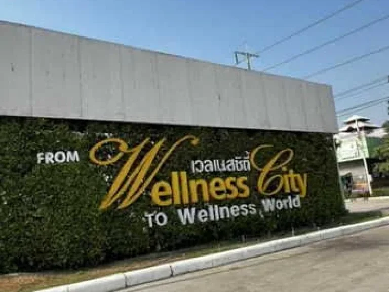 ขายบ้านพักตากอากาศ โครงการ Wellness World เวลเนส เวิลด์ 2