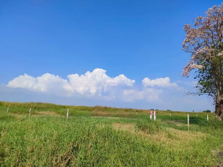 ขายที่ดินต่ำกว่าราคาประเมิณข้างสนามกอล์ฟเกียรติพิพัฒน์ธานีเด