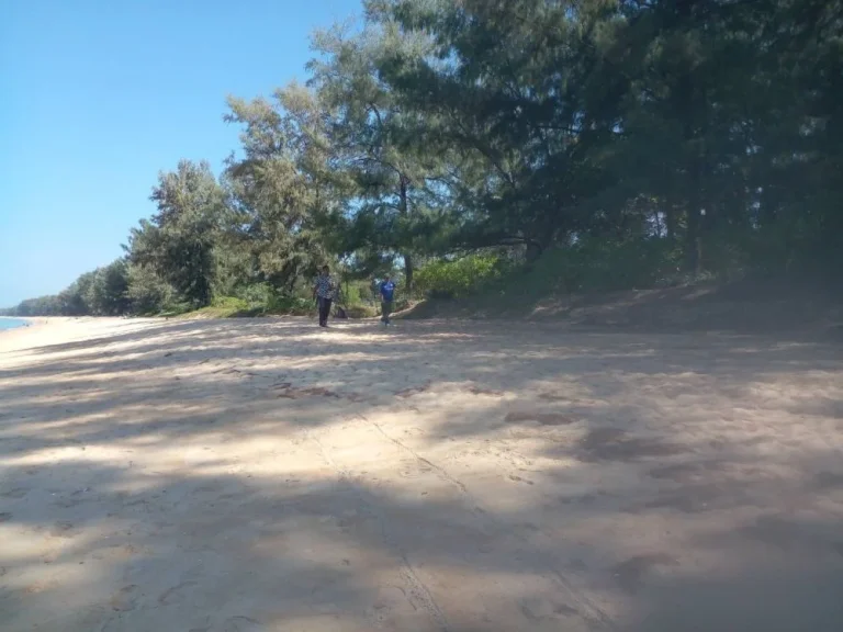 ขายที่ดินภูเก็ตแปลงงาม สวยมาก หาดไม้ขาว 31ไร่