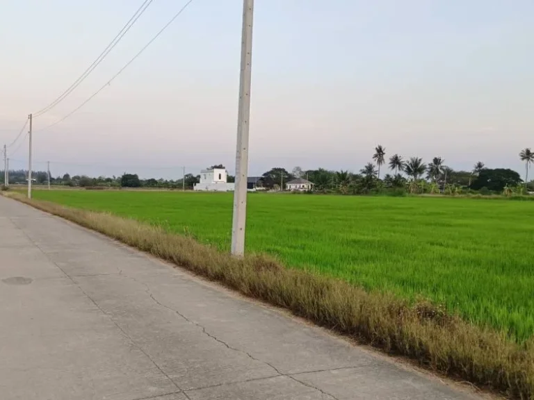 ขายที่ดินติดถนนคอนกรีต 200 ตรวบรรยากาศดีวิวทุ่งนา หนองดินแดง