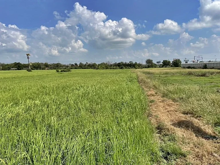 ขายที่ดินถนนชัยพฤกษ์ บางกรวย-กรุงเทพ ติดถนนราชพฤกษ์