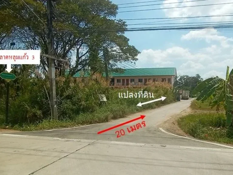 ขายที่ดิน 203 ตรว ใกล้ อบตลาดหลุมแก้ว ปทุมธานี