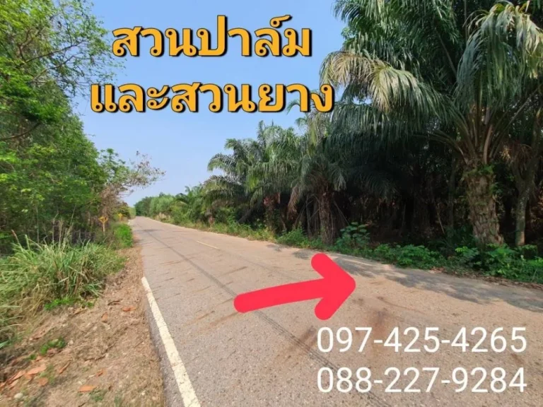 ขายที่ดินพนมสารคาม 5-2-0 ไร่ ติดถนนลาดยาง ใกล้ถนนเส้น