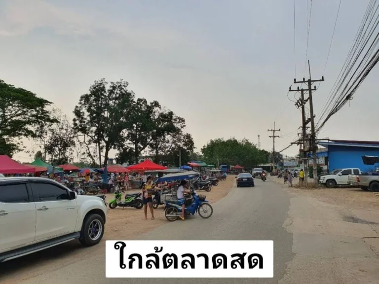 ขายที่ดินพนมสารคาม 5-2-0 ไร่ ติดถนนลาดยาง ใกล้ถนนเส้น