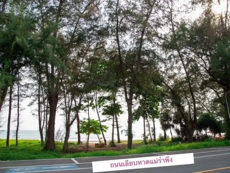 ขายที่ดินติดชายหาดทะเลหาดแม่รำพึง หน้ากว้าง 88 เมตร