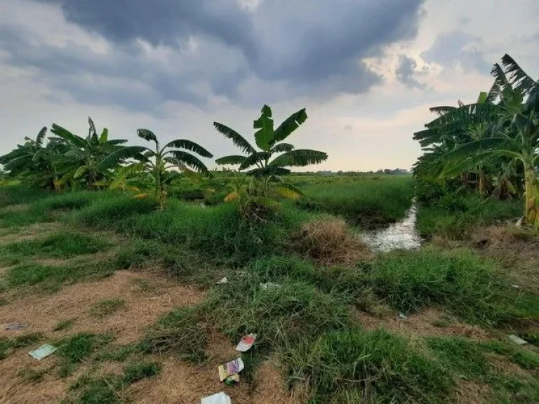 ขายที่ดินคลองเจ็ด ถนนเลียบคลองแอนเจ็ด อหนองเสือ จปทุมธานี