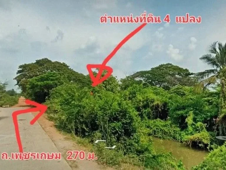 ขายที่ดินเปล่า 30-1-20 ไร่ หน้ากว้าง 270 เมตร ลึก 202 เมตร